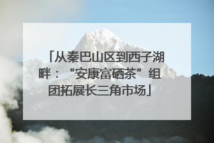 从秦巴山区到西子湖畔：“安康富硒茶”组团拓展长三角市场