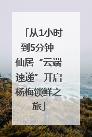 从1小时到5分钟 仙居“云端速递”开启杨梅锁鲜之旅