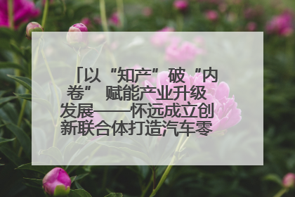 以“知产”破“内卷” 赋能产业升级发展——怀远成立创新联合体打造汽车零部件产业新高地