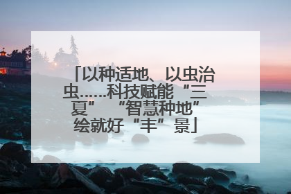 以种适地、以虫治虫……科技赋能“三夏” “智慧种地”绘就好“丰”景
