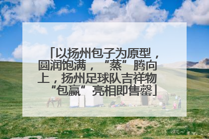 以扬州包子为原型，圆润饱满，“蒸”腾向上，扬州足球队吉祥物“包赢”亮相即售罄