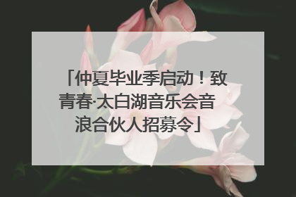 仲夏毕业季启动！致青春·太白湖音乐会音浪合伙人招募令
