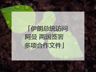 伊朗总统访问阿曼 两国签署多项合作文件