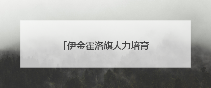 伊金霍洛旗大力培育电商直播复合型人才