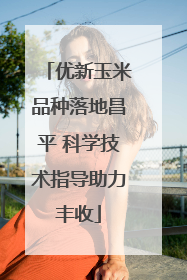 优新玉米品种落地昌平 科学技术指导助力丰收