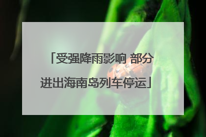 受强降雨影响 部分进出海南岛列车停运