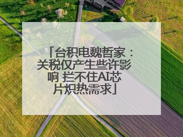 台积电魏哲家：关税仅产生些许影响 拦不住AI芯片炽热需求