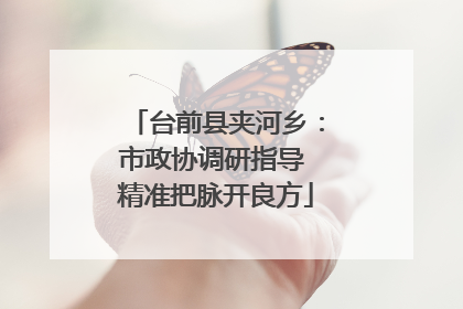 台前县夹河乡：市政协调研指导 精准把脉开良方