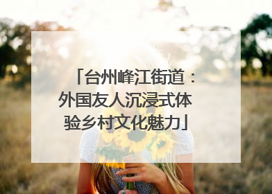 台州峰江街道：外国友人沉浸式体验乡村文化魅力