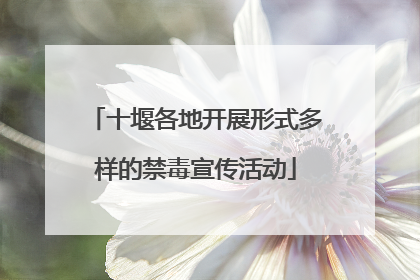 十堰各地开展形式多样的禁毒宣传活动