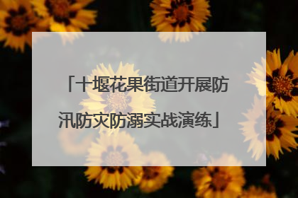 十堰花果街道开展防汛防灾防溺实战演练