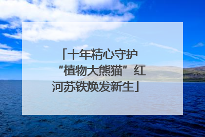 十年精心守护 “植物大熊猫”红河苏铁焕发新生