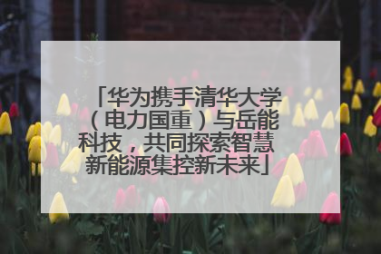 华为携手清华大学（电力国重）与岳能科技，共同探索智慧新能源集控新未来