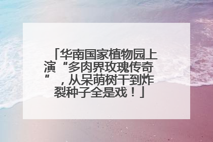 华南国家植物园上演“多肉界玫瑰传奇”，从呆萌树干到炸裂种子全是戏！