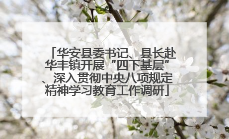 华安县委书记、县长赴华丰镇开展“四下基层”、深入贯彻中央八项规定精神学习教育工作调研