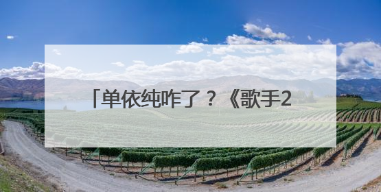 单依纯咋了？《歌手2025》单依纯改编李荣浩《李白》引热议