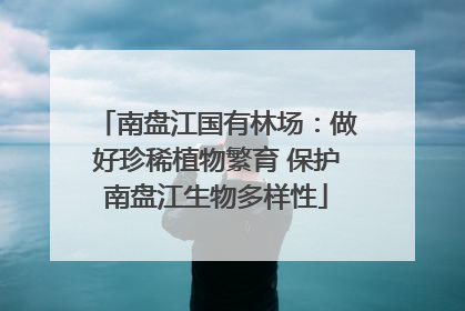 南盘江国有林场：做好珍稀植物繁育 保护南盘江生物多样性