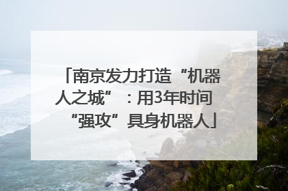 南京发力打造“机器人之城”：用3年时间“强攻”具身机器人