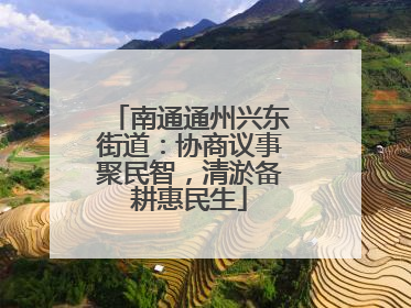 南通通州兴东街道：协商议事聚民智，清淤备耕惠民生