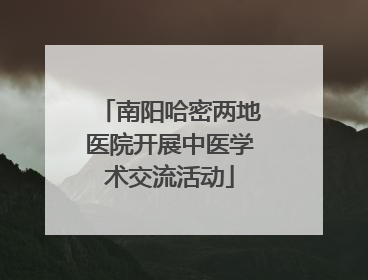 南阳哈密两地医院开展中医学术交流活动
