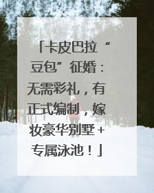 卡皮巴拉“豆包”征婚：无需彩礼，有正式编制，嫁妆豪华别墅＋专属泳池！