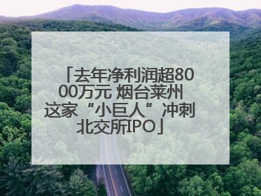 去年净利润超8000万元 烟台莱州这家“小巨人”冲刺北交所IPO
