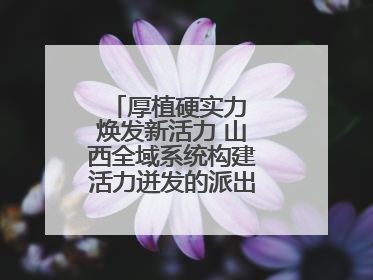 厚植硬实力 焕发新活力 山西全域系统构建活力迸发的派出所工作新生态