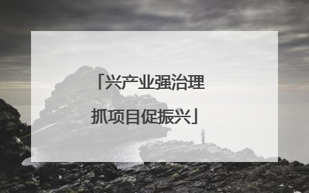 兴产业强治理 抓项目促振兴