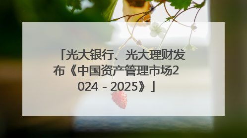 光大银行、光大理财发布《中国资产管理市场2024－2025》