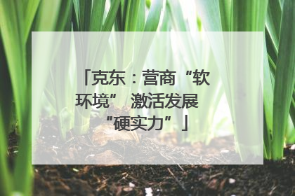克东：营商“软环境” 激活发展“硬实力”