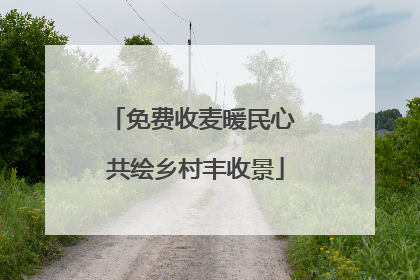 免费收麦暖民心 共绘乡村丰收景