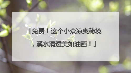 免费！这个小众凉爽秘境，溪水清透美如油画！