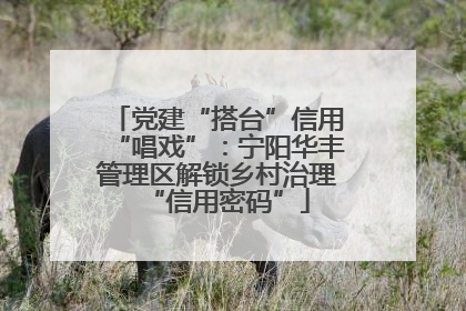 党建“搭台”信用“唱戏”：宁阳华丰管理区解锁乡村治理“信用密码”