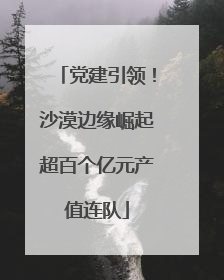 党建引领！沙漠边缘崛起超百个亿元产值连队