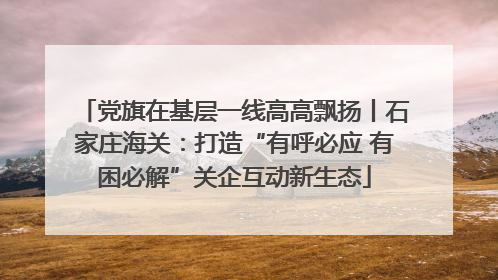 党旗在基层一线高高飘扬丨石家庄海关：打造“有呼必应 有困必解”关企互动新生态
