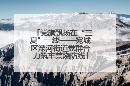 党旗飘扬在“三夏”一线——宛城区溧河街道党群合力筑牢禁烧防线