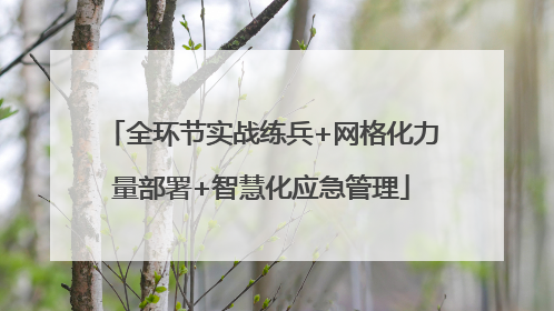全环节实战练兵+网格化力量部署+智慧化应急管理