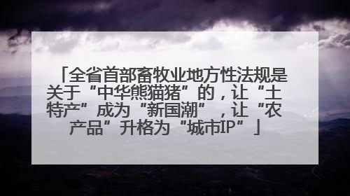 全省首部畜牧业地方性法规是关于“中华熊猫猪”的，让“土特产”成为“新国潮”，让“农产品”升格为“城市IP”