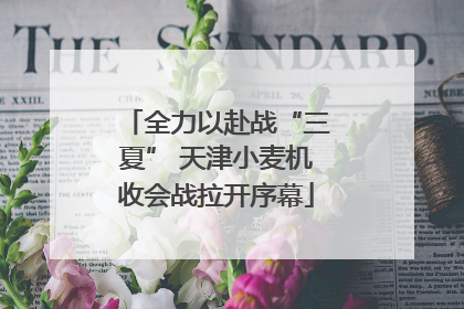 全力以赴战“三夏” 天津小麦机收会战拉开序幕