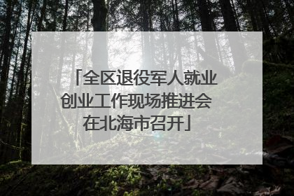 全区退役军人就业创业工作现场推进会在北海市召开