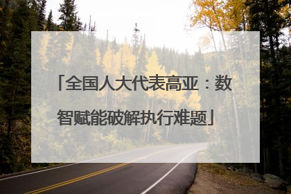 全国人大代表高亚：数智赋能破解执行难题