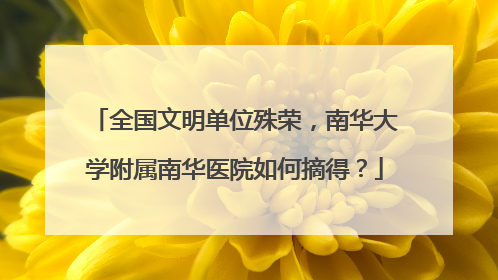 全国文明单位殊荣，南华大学附属南华医院如何摘得？