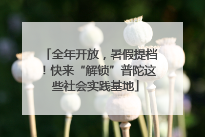全年开放，暑假提档！快来“解锁”普陀这些社会实践基地