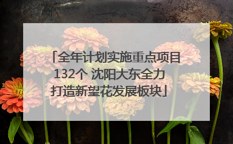 全年计划实施重点项目132个 沈阳大东全力打造新望花发展板块