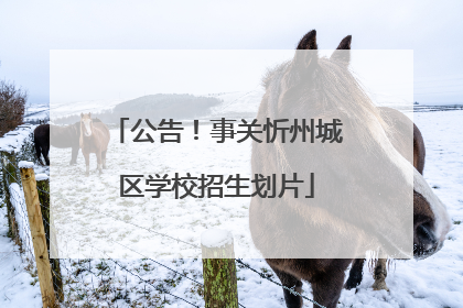 公告！事关忻州城区学校招生划片