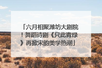 六月相聚潍坊大剧院！舞蹈诗剧《只此青绿》再掀宋韵美学热潮