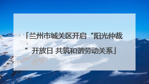 兰州市城关区开启“阳光仲裁”开放日 共筑和谐劳动关系