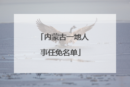 内蒙古一地人事任免名单