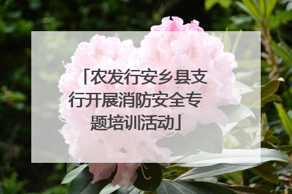农发行安乡县支行开展消防安全专题培训活动