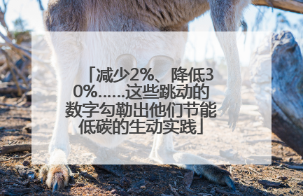 减少2%、降低30%……这些跳动的数字勾勒出他们节能低碳的生动实践